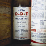 pestisida-dilarang-DDT-e1608957233785