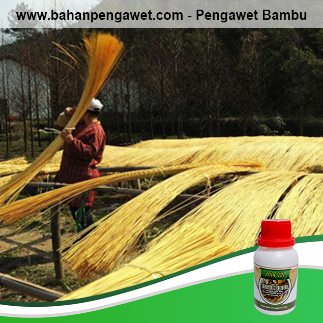 pengawet bambu