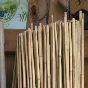 Read more about the article Cara Mengawetkan Kayu Bambu dengan Lebih Praktis Tak Sulit  Dilakukan