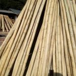 Iron-Bamboo-Curtain-Poles