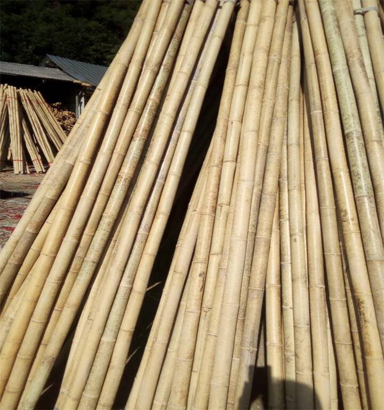 pemutih bambu