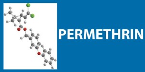 Permethrin adalah bahan kimia sintetik biasa digunakan untuk insektisida