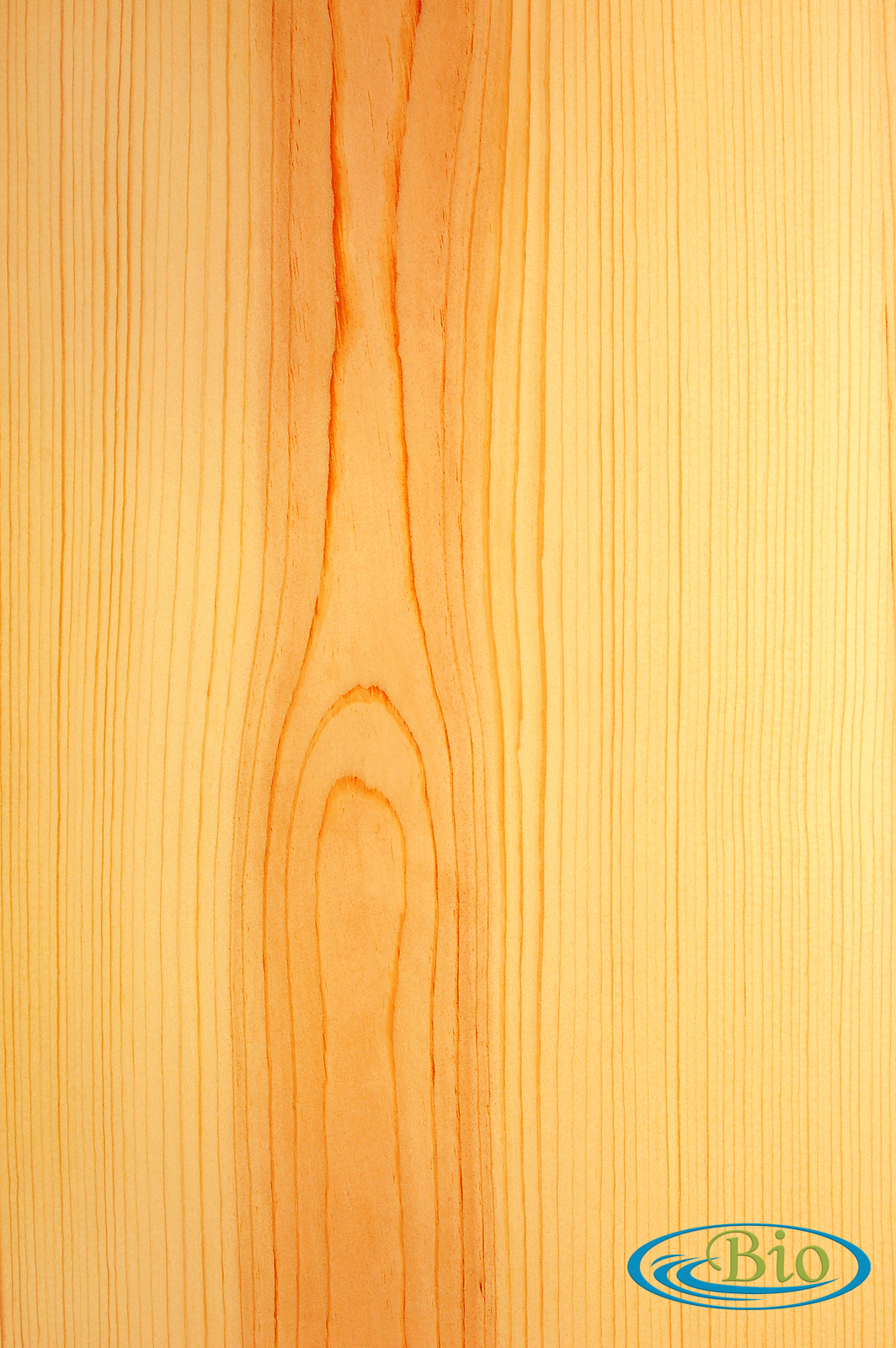 cara efektif mengawetkan kayu pinus