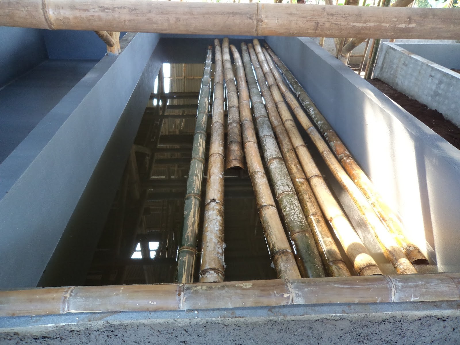 proses pengawetan bambu